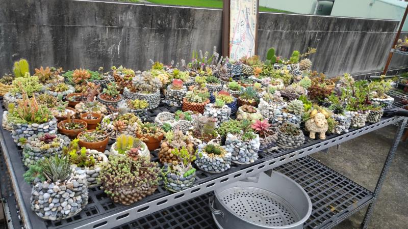 學員們作品正在享受大自然環境的滋養