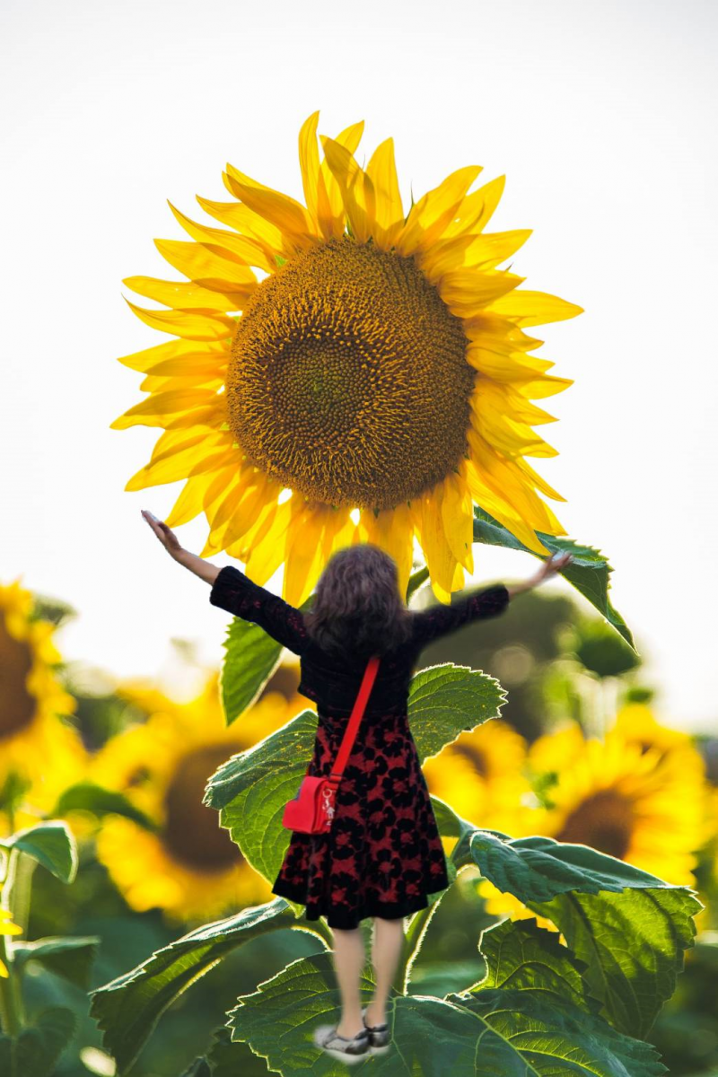 吉安DOC學員的學員作品