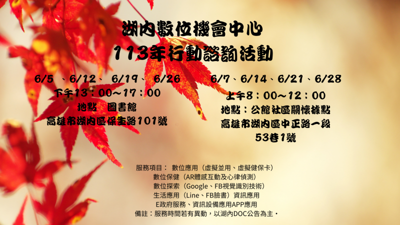 【湖內DOC 】113年行動諮詢服務-封面照