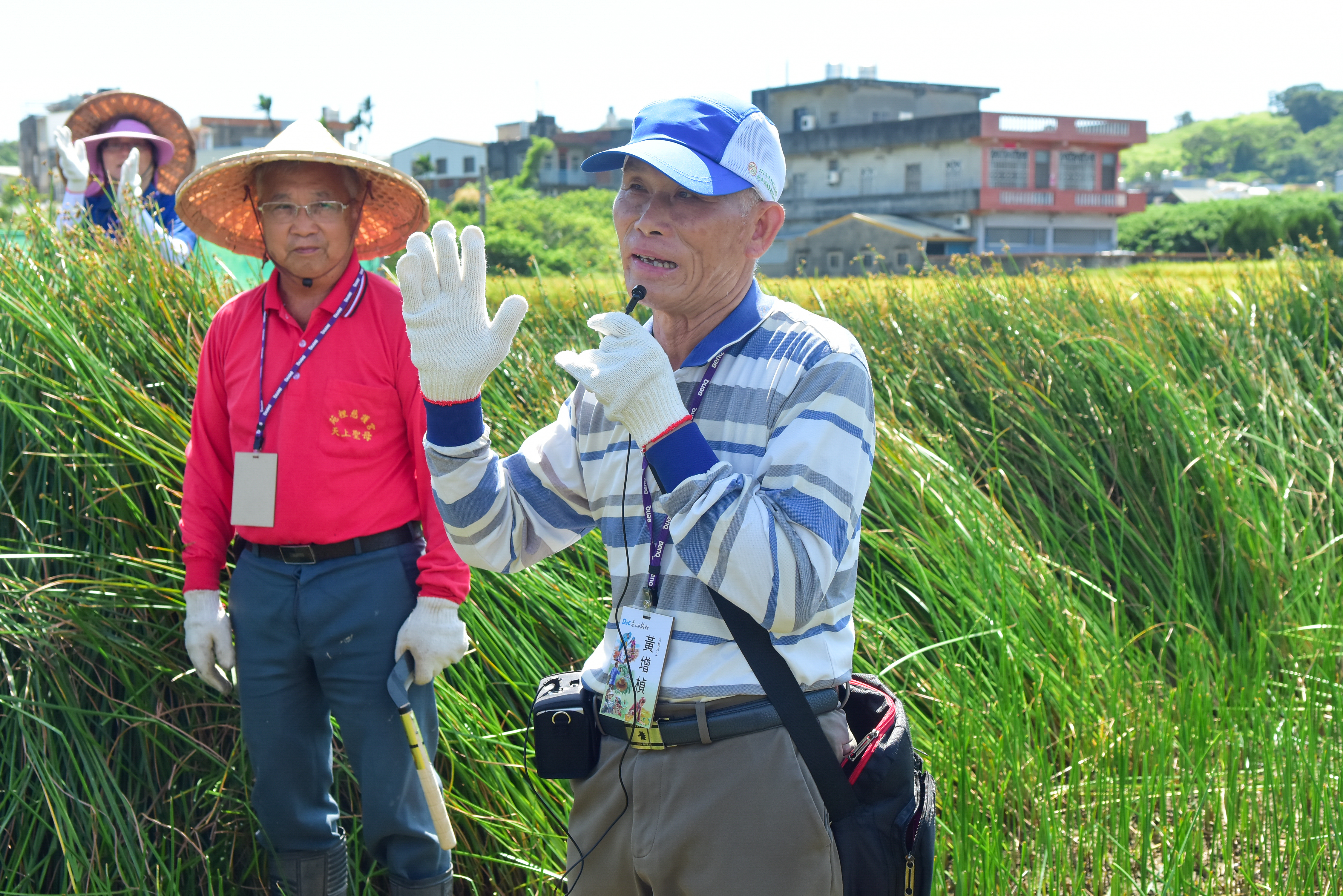 2024 《 DOC 志工小旅行》手割藺草致敬大地  見學百年編織工藝-封面照