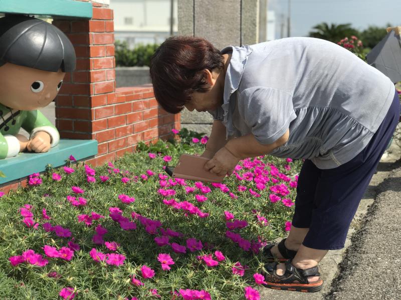 認真學習拍攝美麗花朵