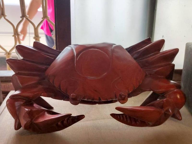 【後壁ＤＯＣ】攝影的奧妙／黃月琴-封面照