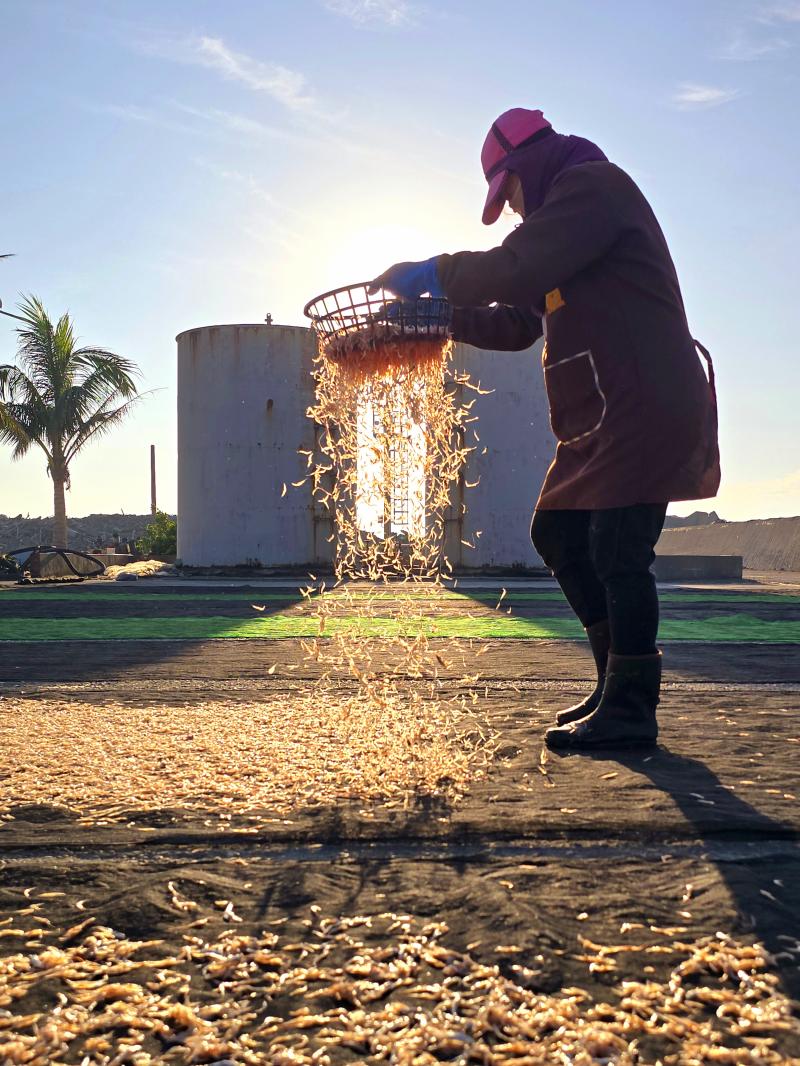 特等獎:  林園DOC-黃梅香『延續-生生不息』。