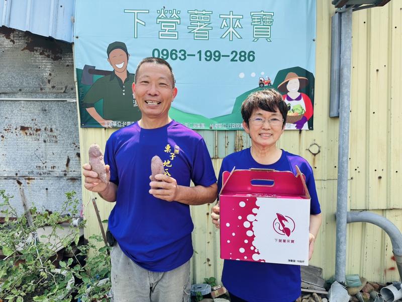 有機栽培與地瓜品種