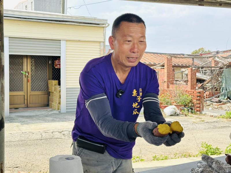種的不只是地瓜,是一份土地情感與鄉土文化的延續