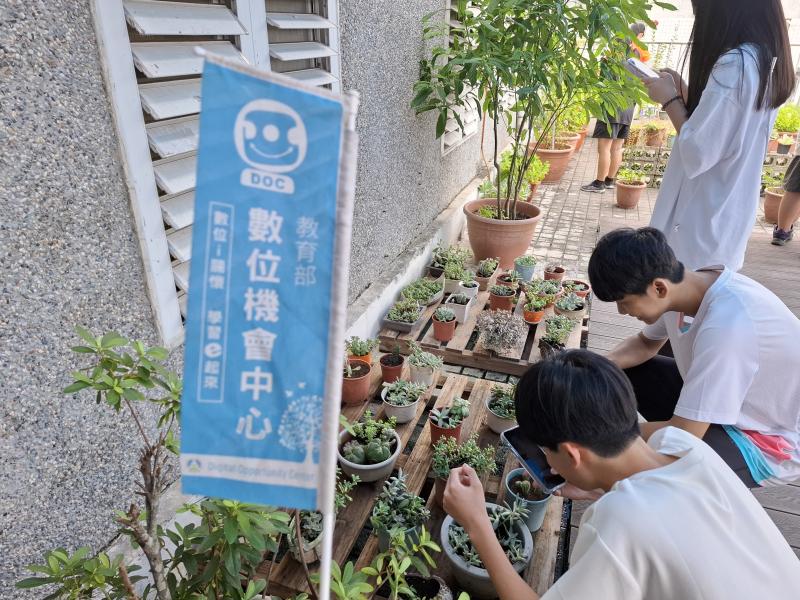 學員使用手機進行植物辨識