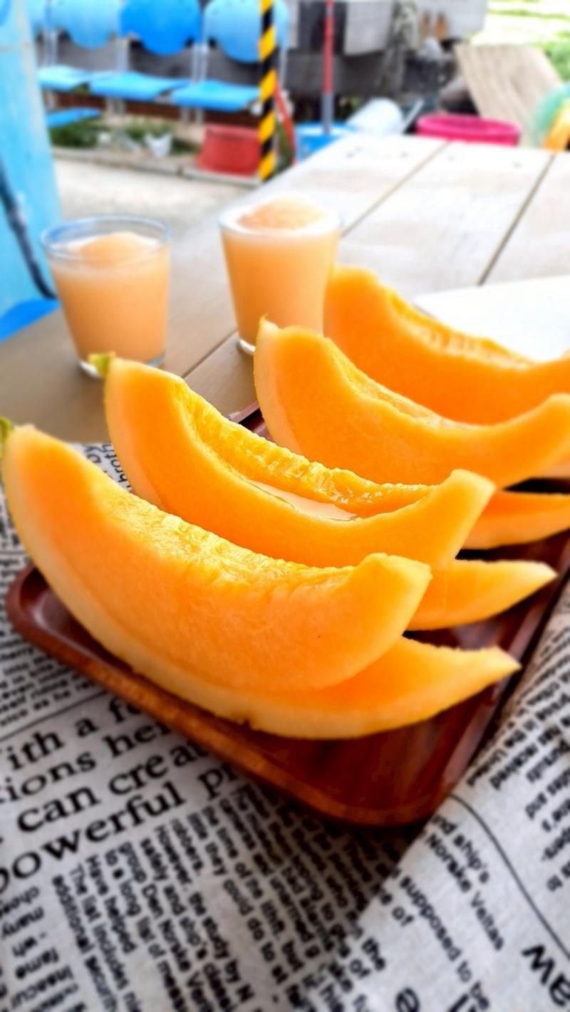 學員練習使用手機拍攝