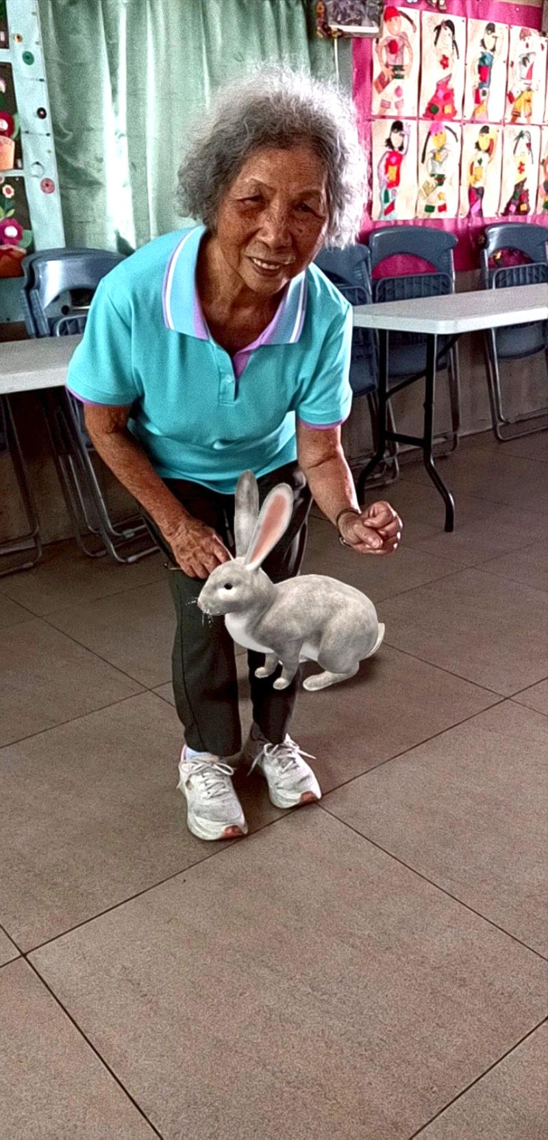 從Google搜尋全新AR動物互動拍照