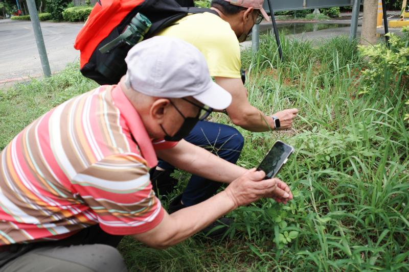 學員實地認識雜草植物。