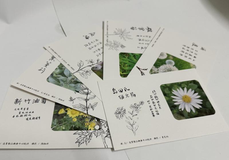 把保育植物寫進信裡  通霄DOC《受脅植物明信片》系列-封面照