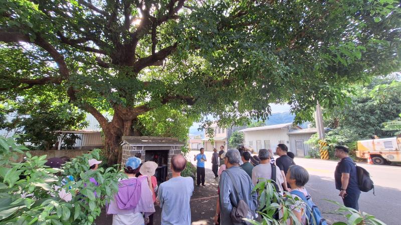 遊戲人物腳色及場景圖