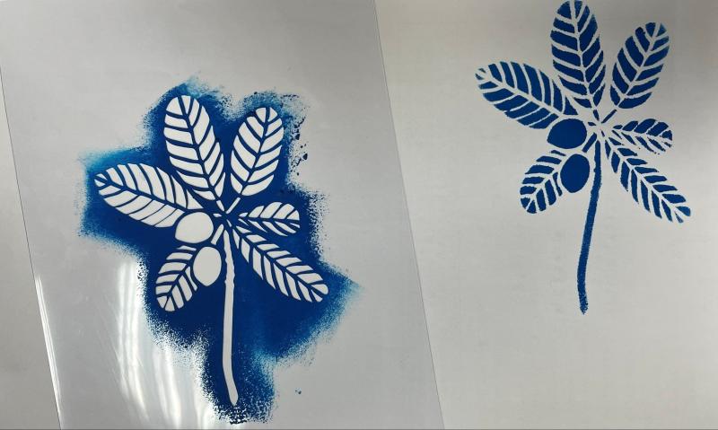 大葉欖仁植物染模具