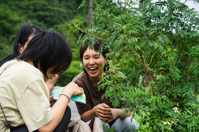 豐濱木蘭種植介紹