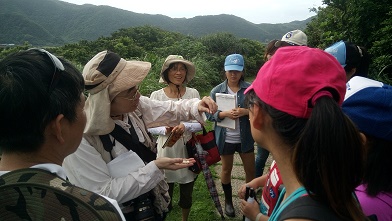 鏡頭紀錄龍洞岬步道濱海植物-封面照