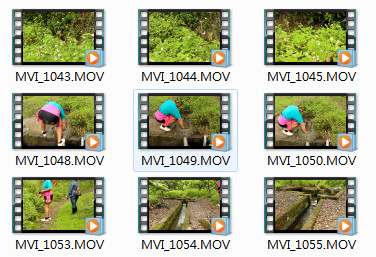 源史道理-在欉履歷我來說-封面照