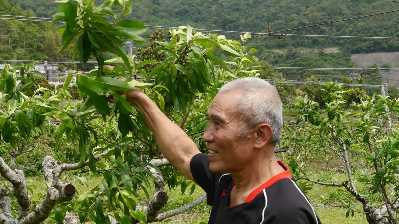 在欉履歷我來說-封面照
