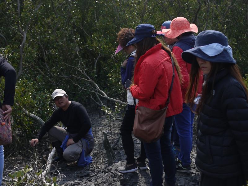 探訪紅樹林