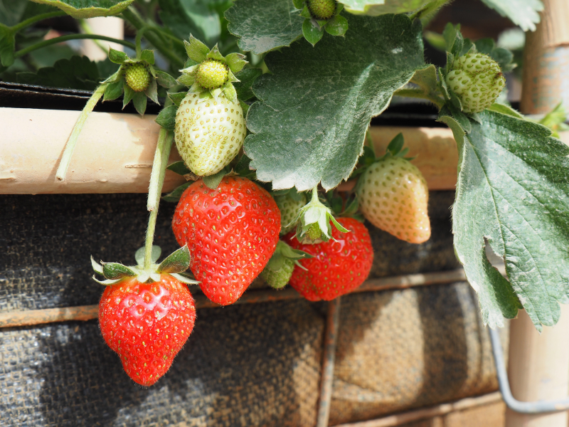 它抓的住我-基礎攝影-封面照