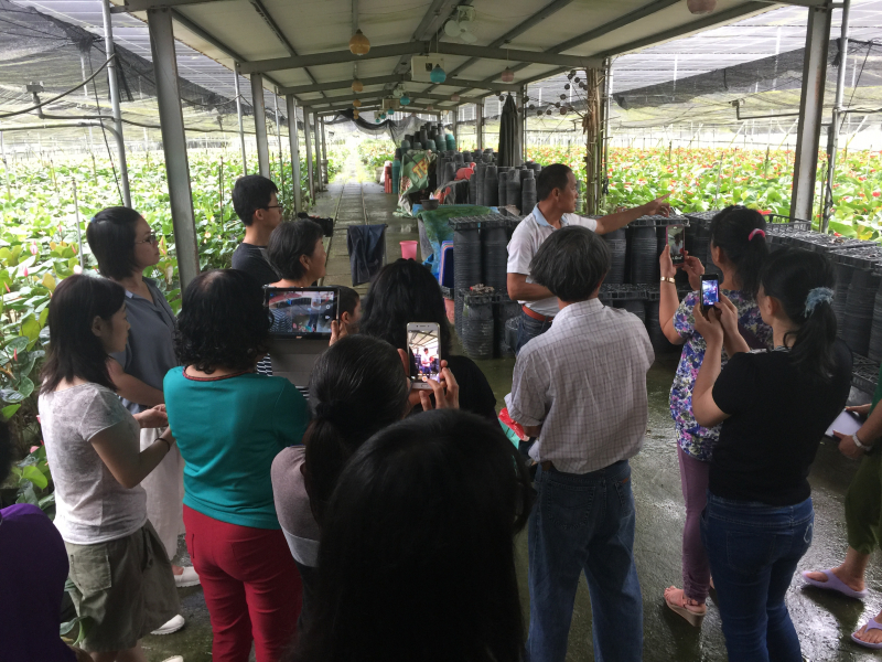 鏡頭下的內門火鶴花	-封面照