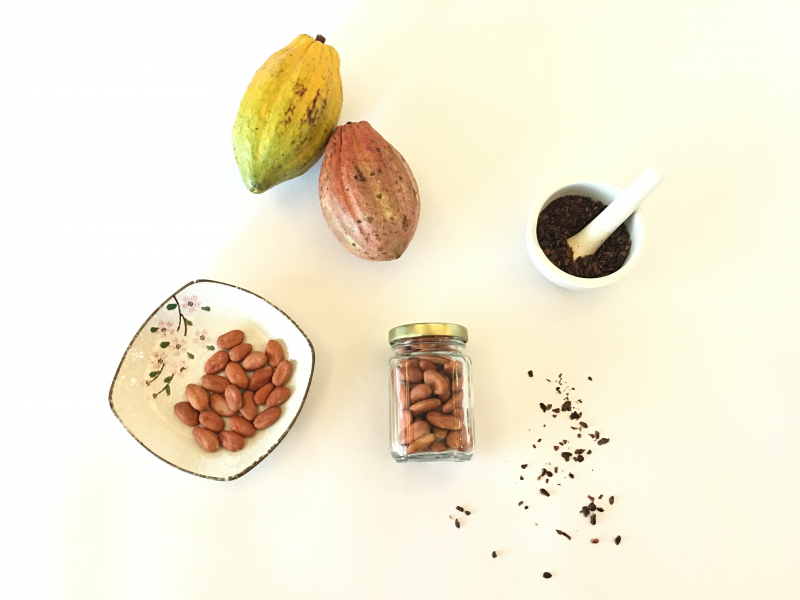可可豆堅果各個生產步驟的陳列，讓顧客了解每個階段的樣子