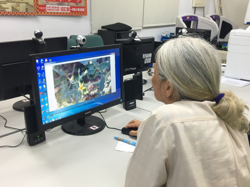 行動導覽玩部落-封面照