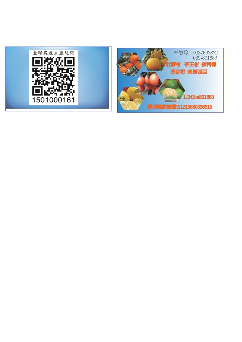 親子完成QR  名片