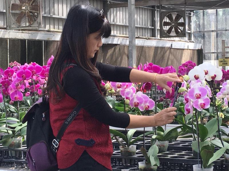 學員－蘇麗娟認真拍攝著