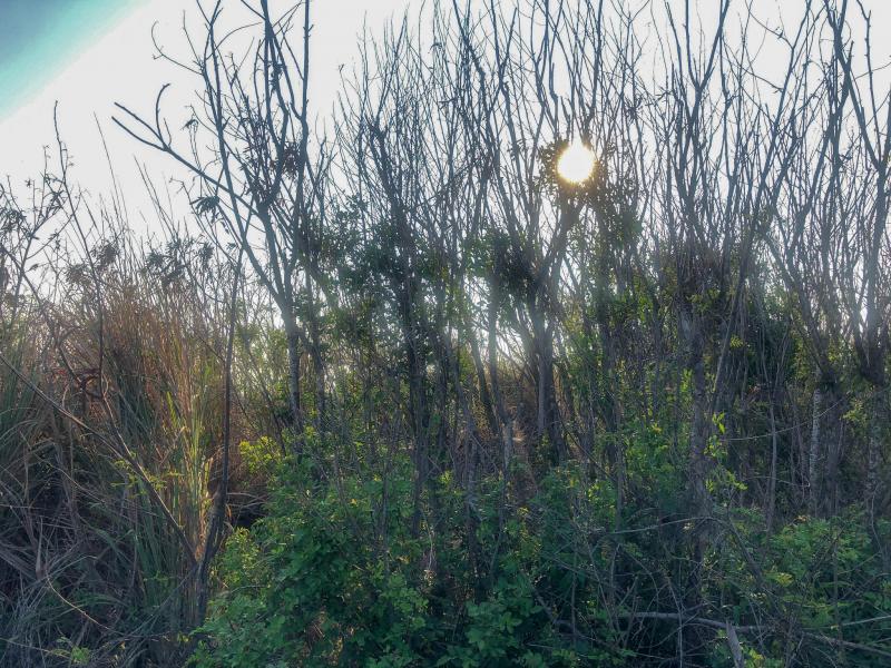 捕捉馬公風光-封面照