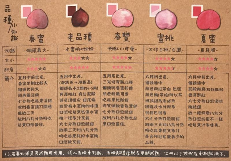 農友畫的桃子轉變成品種卡，讓客戶更理解五月桃的品種和美味！