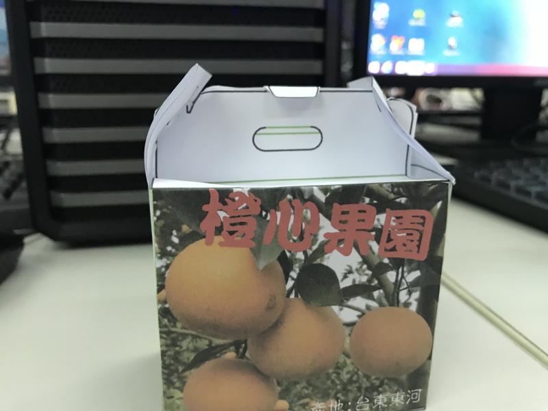 肚臍橙穿上美美包裝  增加價值感