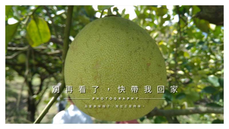 透過snapseed軟體製作 明信片   在中秋節寄給遠方的朋友