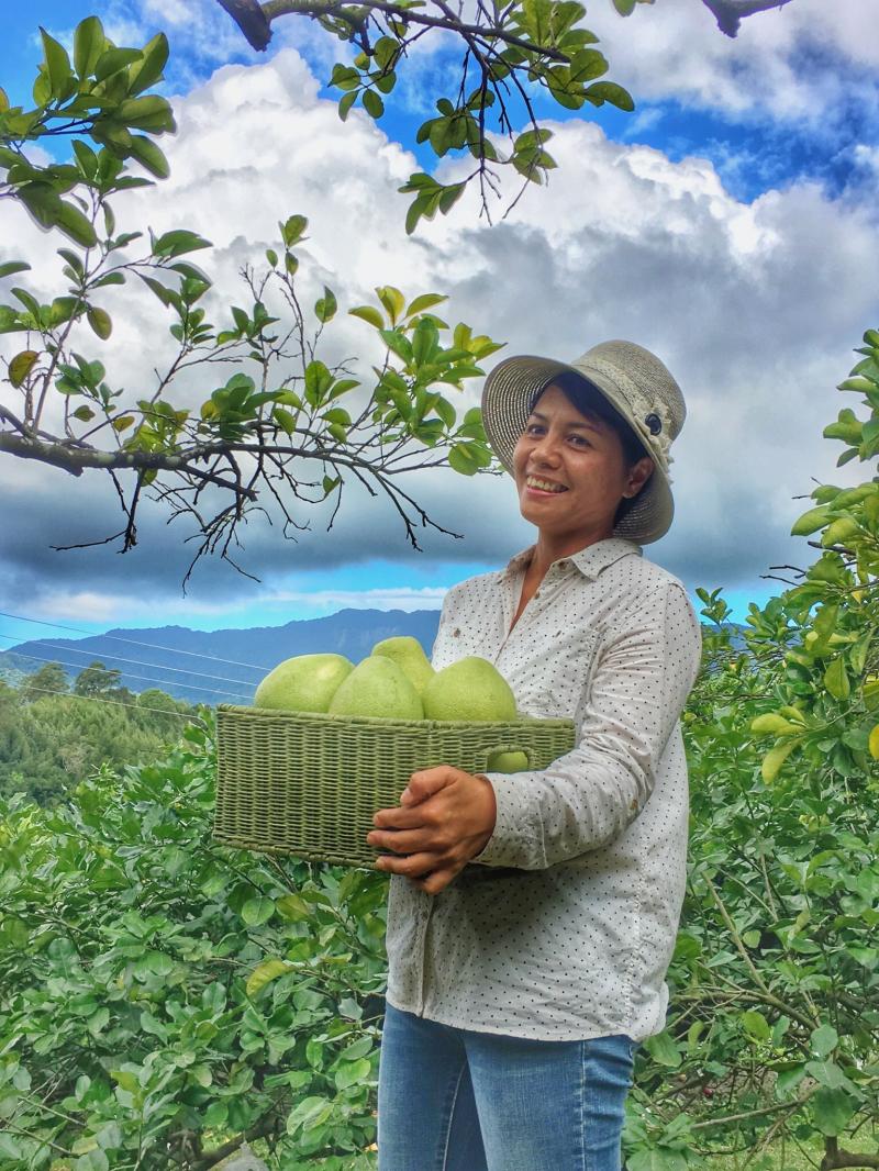 數位拍拍趣-封面照