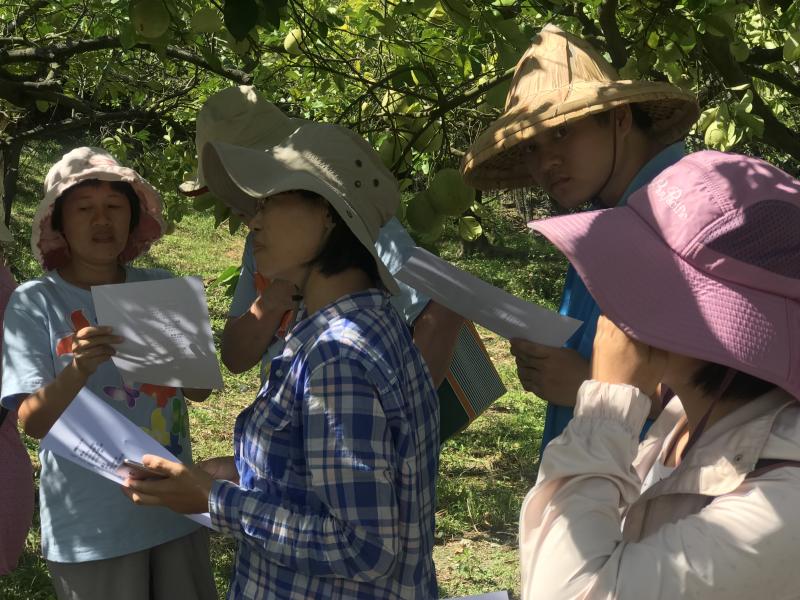 自然光為主、避開陽光直射、樹蔭找光