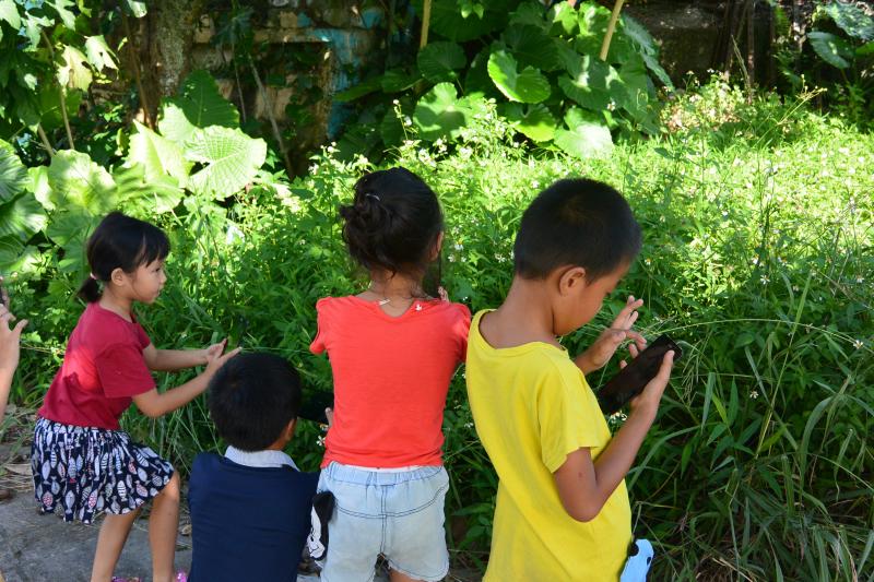 豐濱國小的小攝影師們仔細觀察環境中的植物