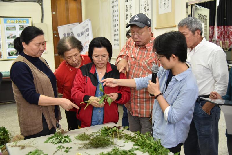 芝宇老師帶領學員們進行採集植物的特徵辨識