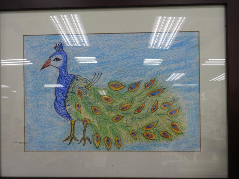 講師將學員繪製完成之作品裱框起來，畫中是一隻藍色孔雀將翠綠羽毛收起並覆蓋在自己身上。