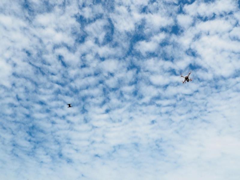 天空中的兩架空拍機由學員親自操作空拍機進行中