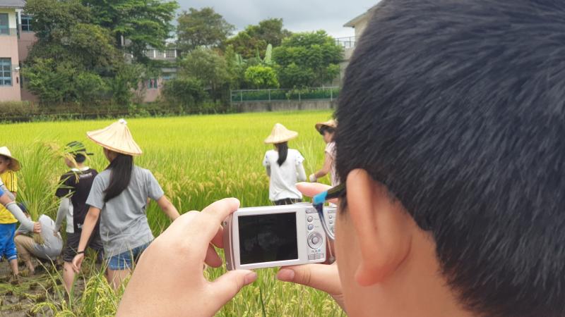 學員正嘗試拍攝農夫收割稻穀的照片。