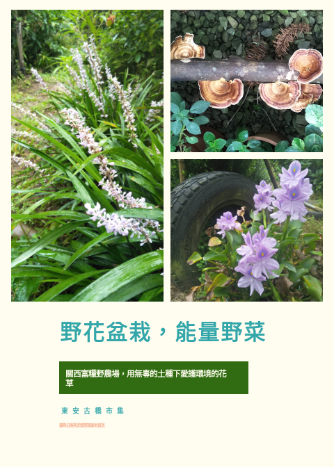 商品照片的EDM試排版