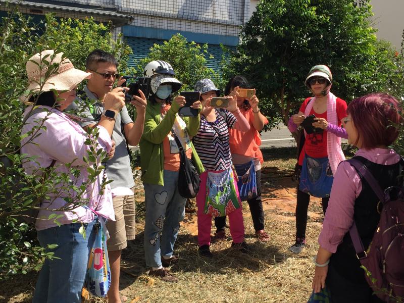 學員們在苦茶籽園裡拍攝外景主持人講解