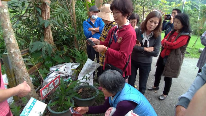 學員練習以形色與INATURALIST查詢園內各種野菜