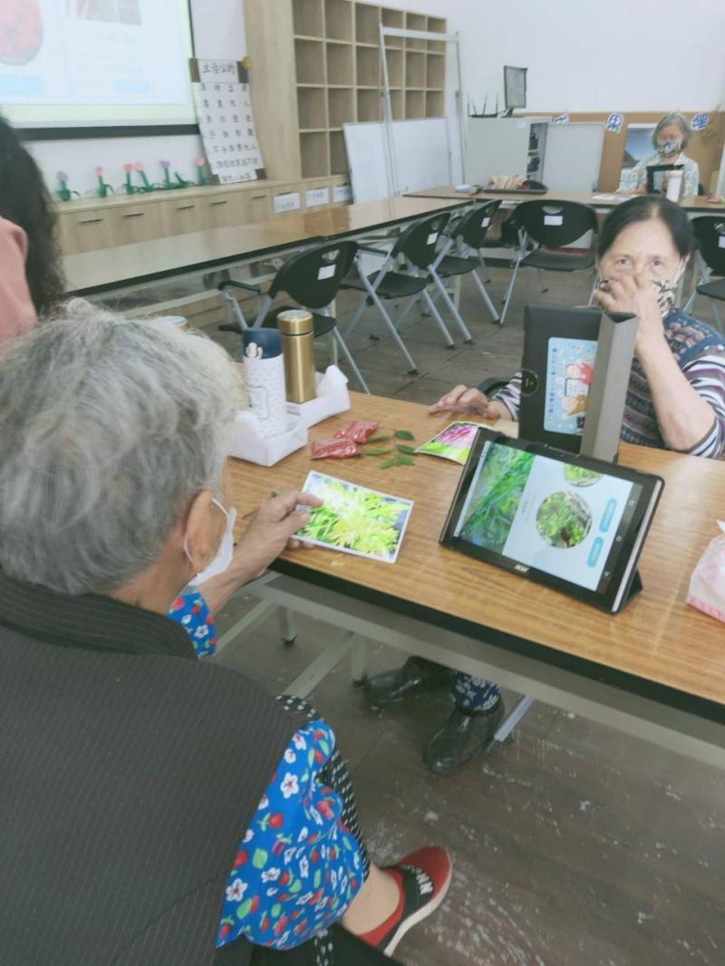 老師教學員使用平板APP辨認照片上的植物