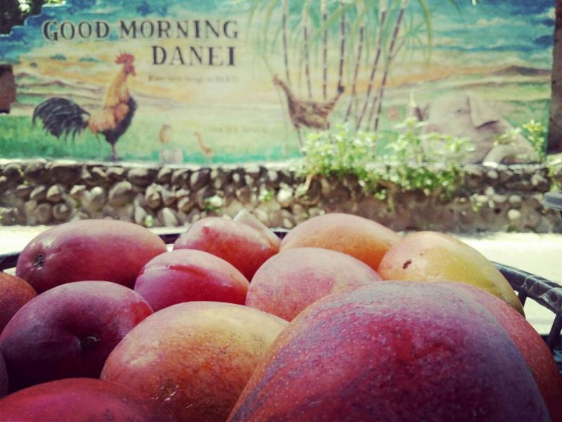 學員自己學修圖，透過講師的指導大家練習出更具美感的畫面