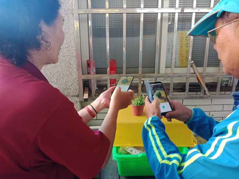 學員分享辨認花種的心得