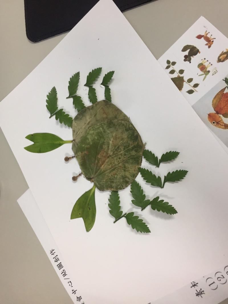 學員製作大安生態螃蟹貼圖