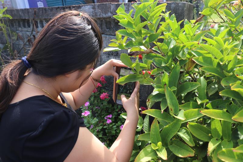 學員至花園區實地使用APP識別植物
