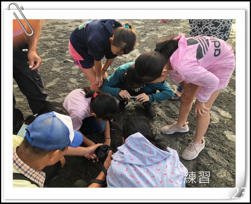 學員一起記錄濱海生態招潮蟹