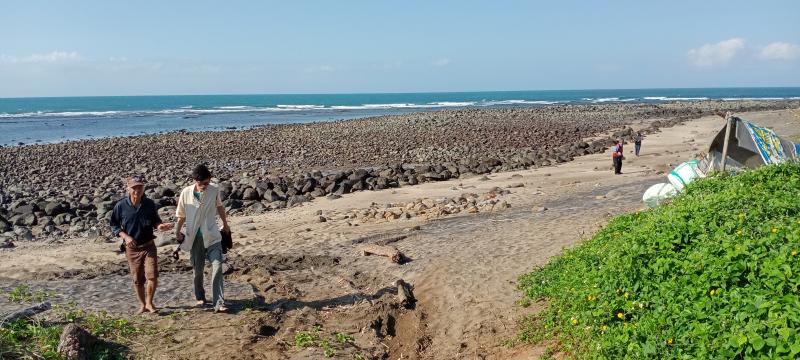 講師與學員跟著當地了解石滬生態的耆老，到北海岸保存較完整的石滬的生態。