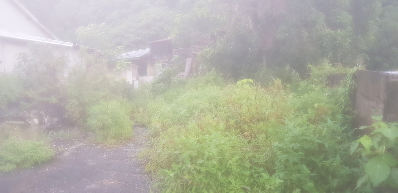 下課回家時天氣已經變暗了，雲霧繚繞似仙境