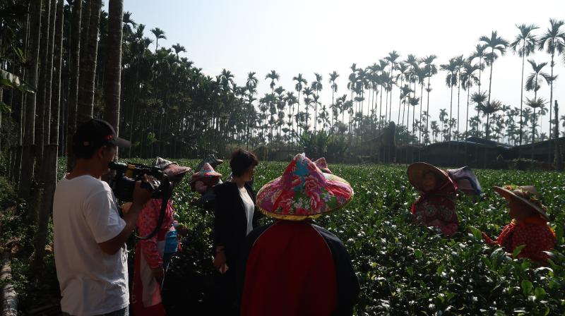專業攝影師紀錄紅茶與茶農的故事